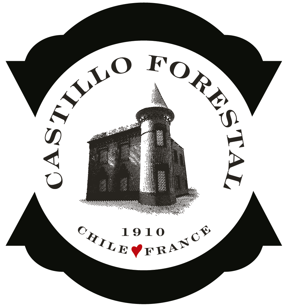 4YNfRfwMCGtpLvP5W-LOGO CASTILLO FORESTAL-01