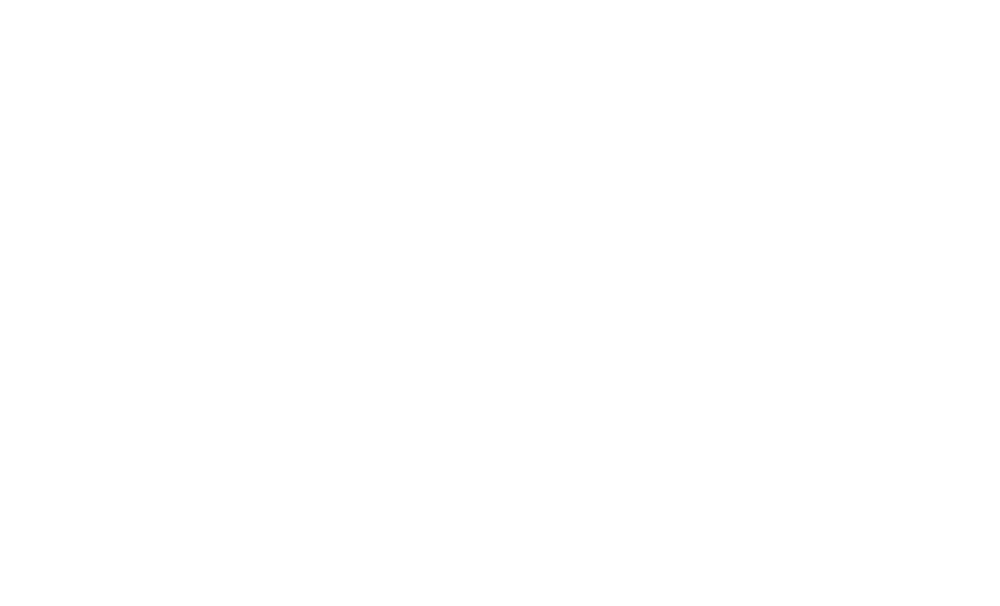 DUPLIDISC
