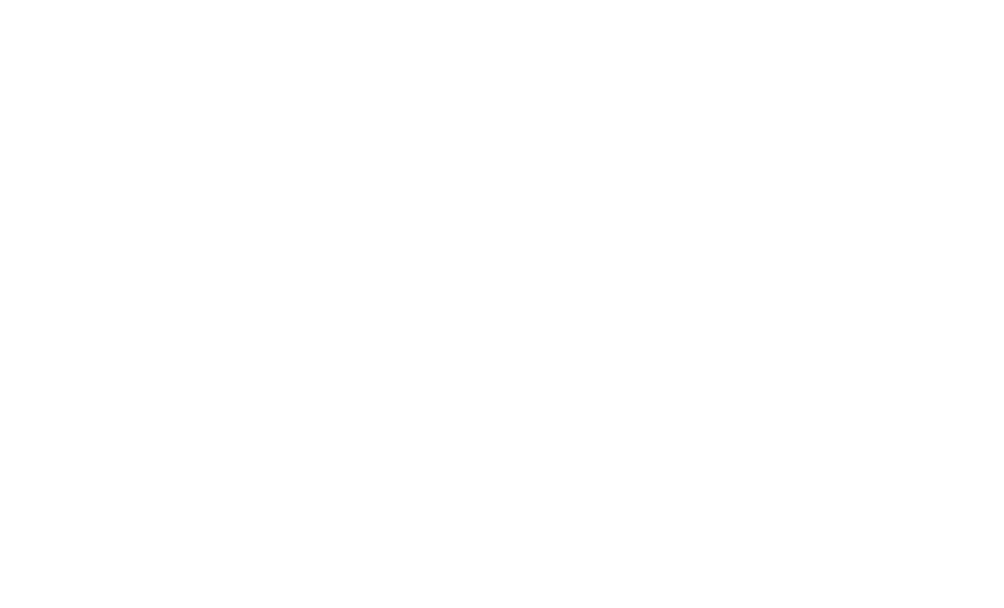 DUPLIDISC
